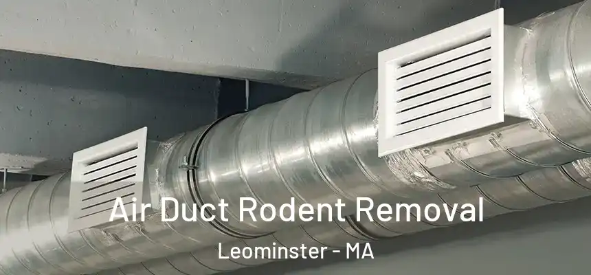 Air Duct Rodent Removal Leominster - MA