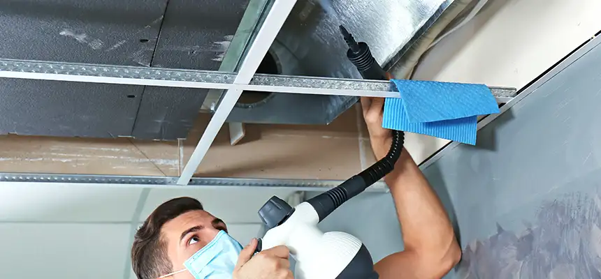 Our Air Duct Rodent Removal Services in Leominster, MA