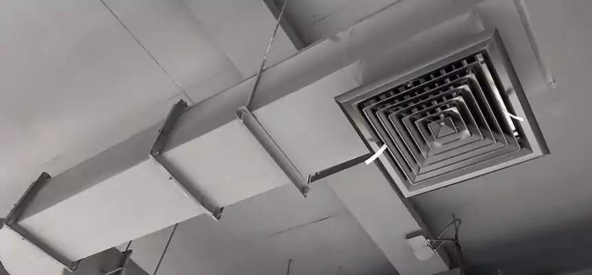 Our Pest Removal From Ducts Services in Leominster, MA