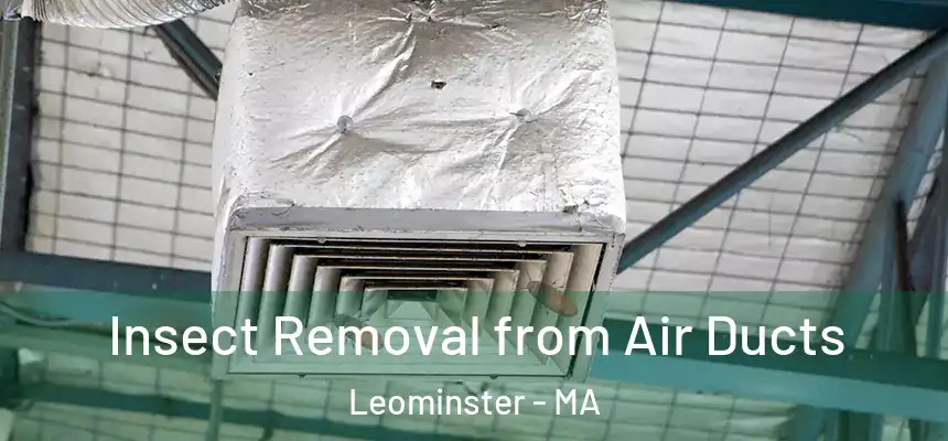  Insect Removal from Air Ducts Leominster - MA