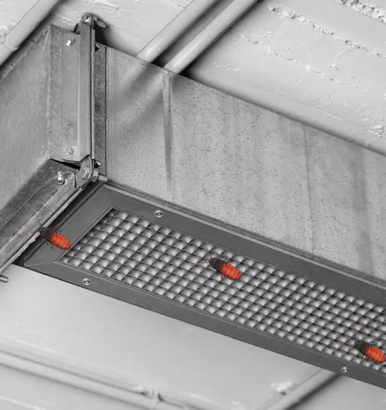 About Air Duct Cockroach Removal in Leominster, MA