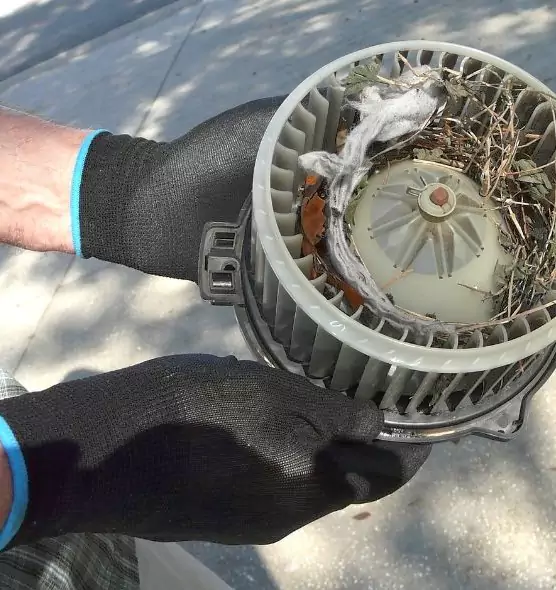 About Air Duct Rat Removal in Leominster, MA