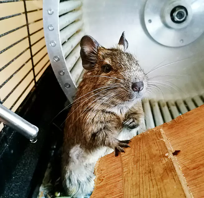 Why Homeowners & Businesses Trust Us Leominster, MA